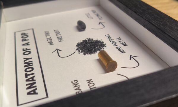 ANATOMY OF A POP (.22lr | .22lfb)