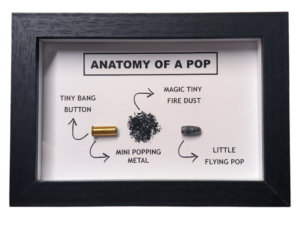 ANATOMY OF A POP (.22lr | .22lfb)