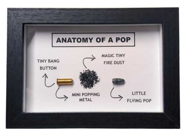 ANATOMY OF A POP (.22lr | .22lfb)