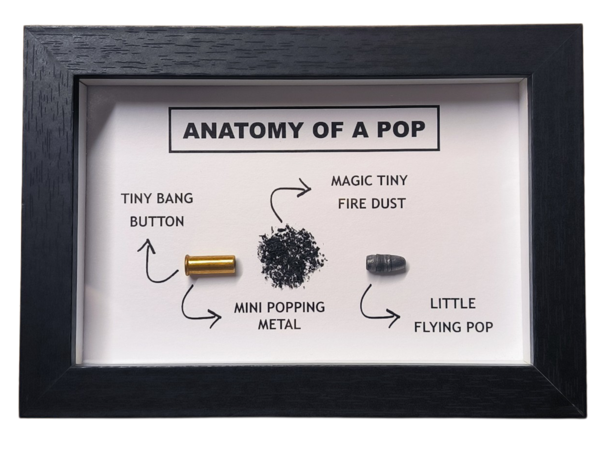 ANATOMY OF A POP (.22lr | .22lfb) – Bild 1